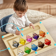 Magnetic Maze Toy