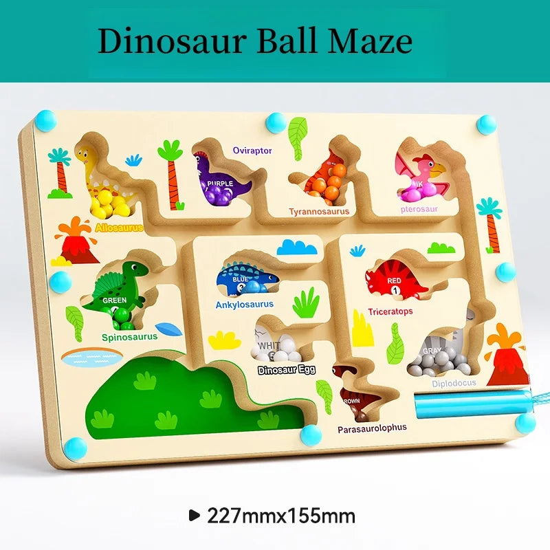 Magnetic Maze Toy